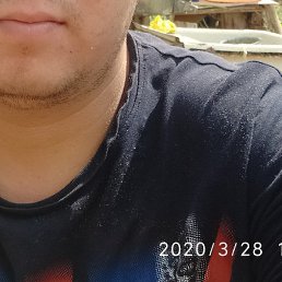 �����, �������, 39 ���