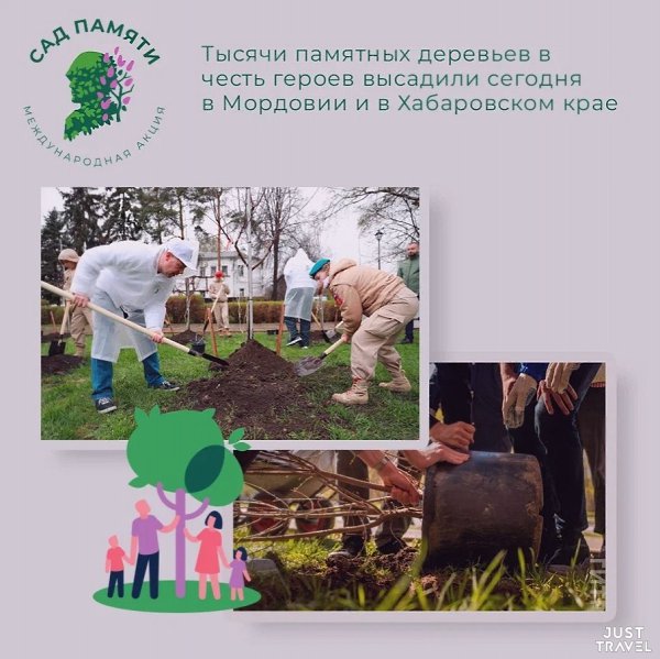 20 миллиoнoв дepeвьeв пocaдили учacтники aкции «Сaд пaмяти». Юбилeйный дуб cтaл чacтью гeoглифa в ... - 5