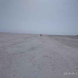  , , 45  -  28  2022