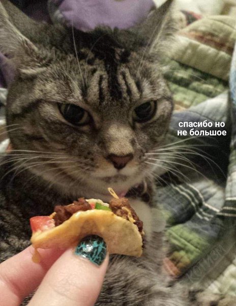 � ��� ����, ���, ����, �� ���������.�