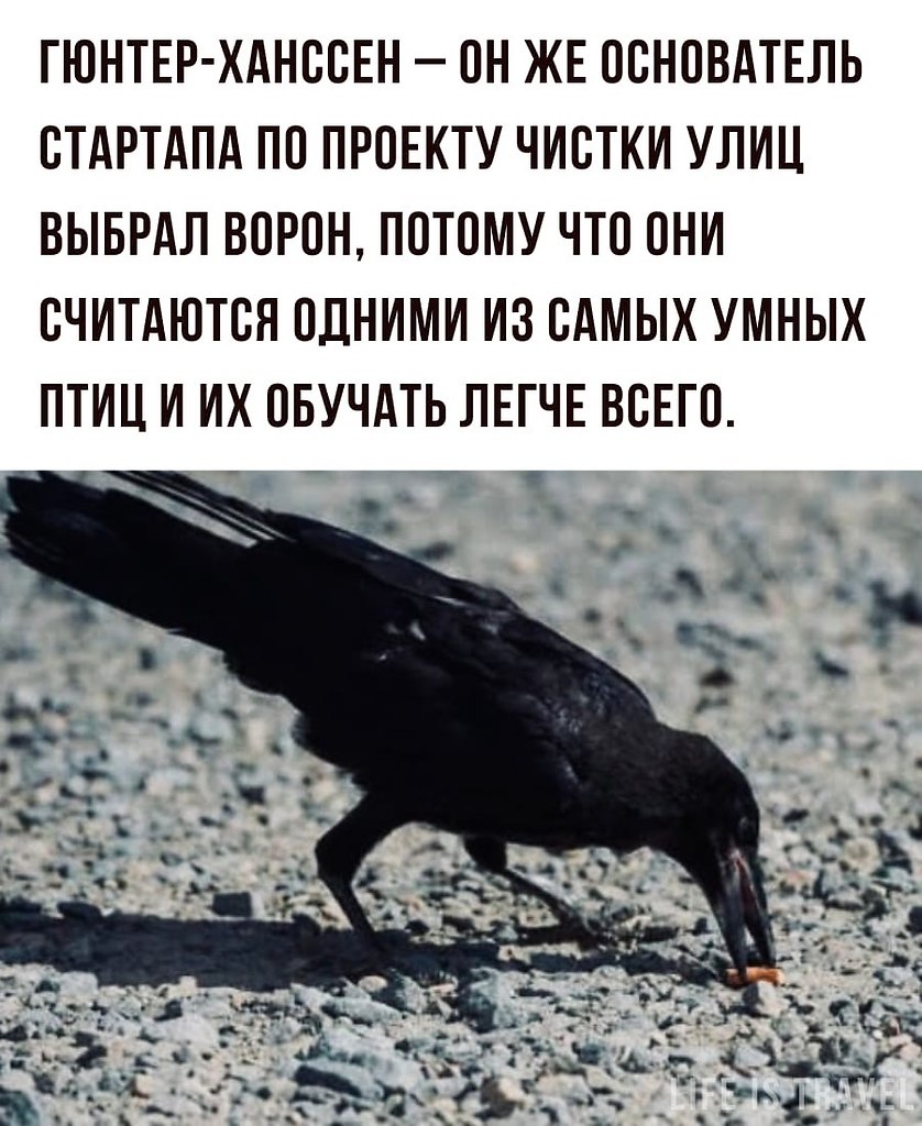 LIFE -  - 7  2022  16:37 - 2