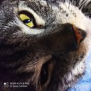 ���� ������, �����-���������, 51 ��� - ��������� 12 ������� 2022 � ������ ���� ����������