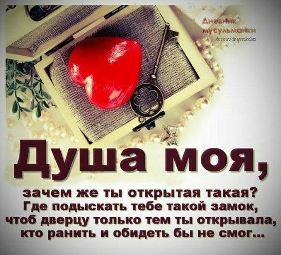 ������������� ���� - 16 ����� 2022 � 11:33