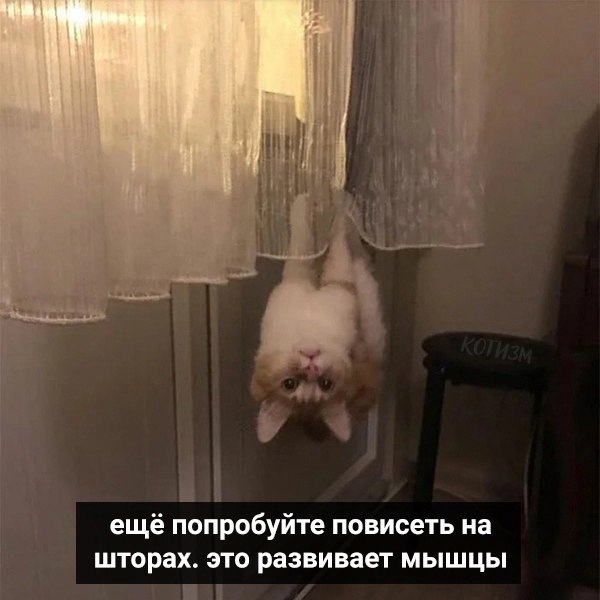    .    - 4