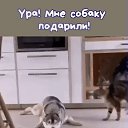 ���� ������, ���������� - ��������� 1 ������ 2023 � ������ ������ ��������