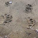 ���� ������, ��������� - ��������� 29 ���� 2022 � ������ ���� ����������