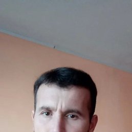 Said mysoev, 36 , 