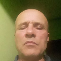 ����, ������, 61 ���