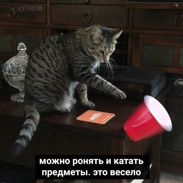    .    - 3