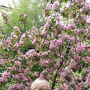  ,  , 65  -  25  2022    