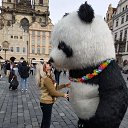 ���� ��������., ������, 58 ��� - ��������� 20 ������ 2022 � ������ ���� ����������