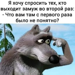 ���� ���, ������, 48 ��� - ��������� 29 �������� 2022