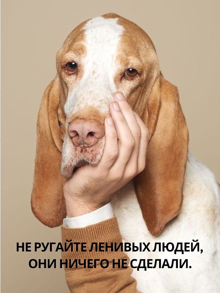 ��� ������� ���������: ����� - ��� ���������� ���������. � ��� ��������� �����! ��� �� ����� ...