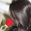 ���� �������, �����, 33 ���� - ��������� 9 ������ 2022 � ������ ���� ����������