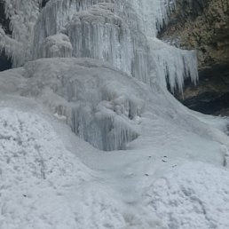 ������, �������, 40 ���