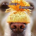 ���� �������, ����������� - ��������� 8 ����� 2022 � ������ ������ ��������