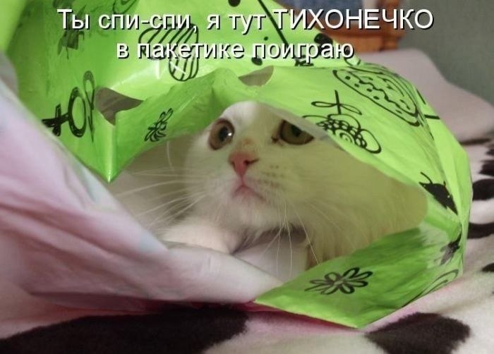    - 10  2022  21:59