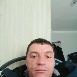 , 38 , 