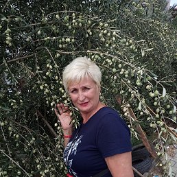 �����, ������, 67 ���