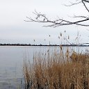 ���� Lyubov, ������ - ��������� 23 ������� 2022 � ������ ������ ��������