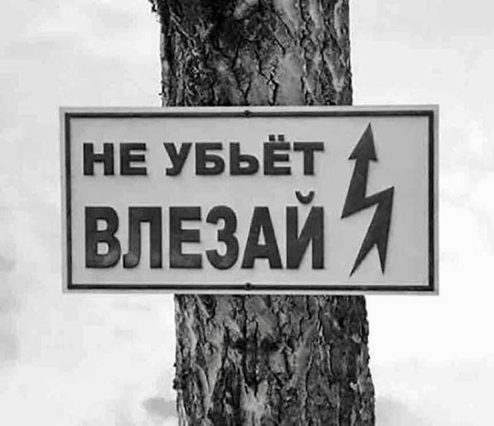   - 25  2022  11:46