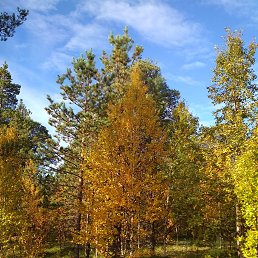 ���� �����, ��������, 52 ���� - ��������� 9 ������ 2023