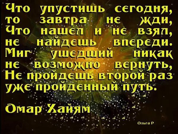 Lunapet - 2  2023  22:00