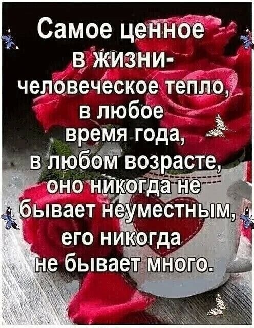   - 25  2022  11:08