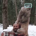 ���� ���������, ��������, 68 ��� - ��������� 19 ������� 2022