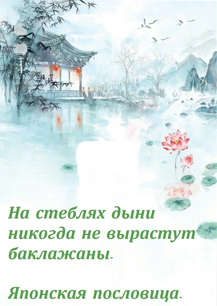   - 6  2022  23:42