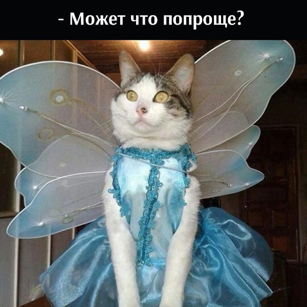       - 13  2022  13:41 - 2