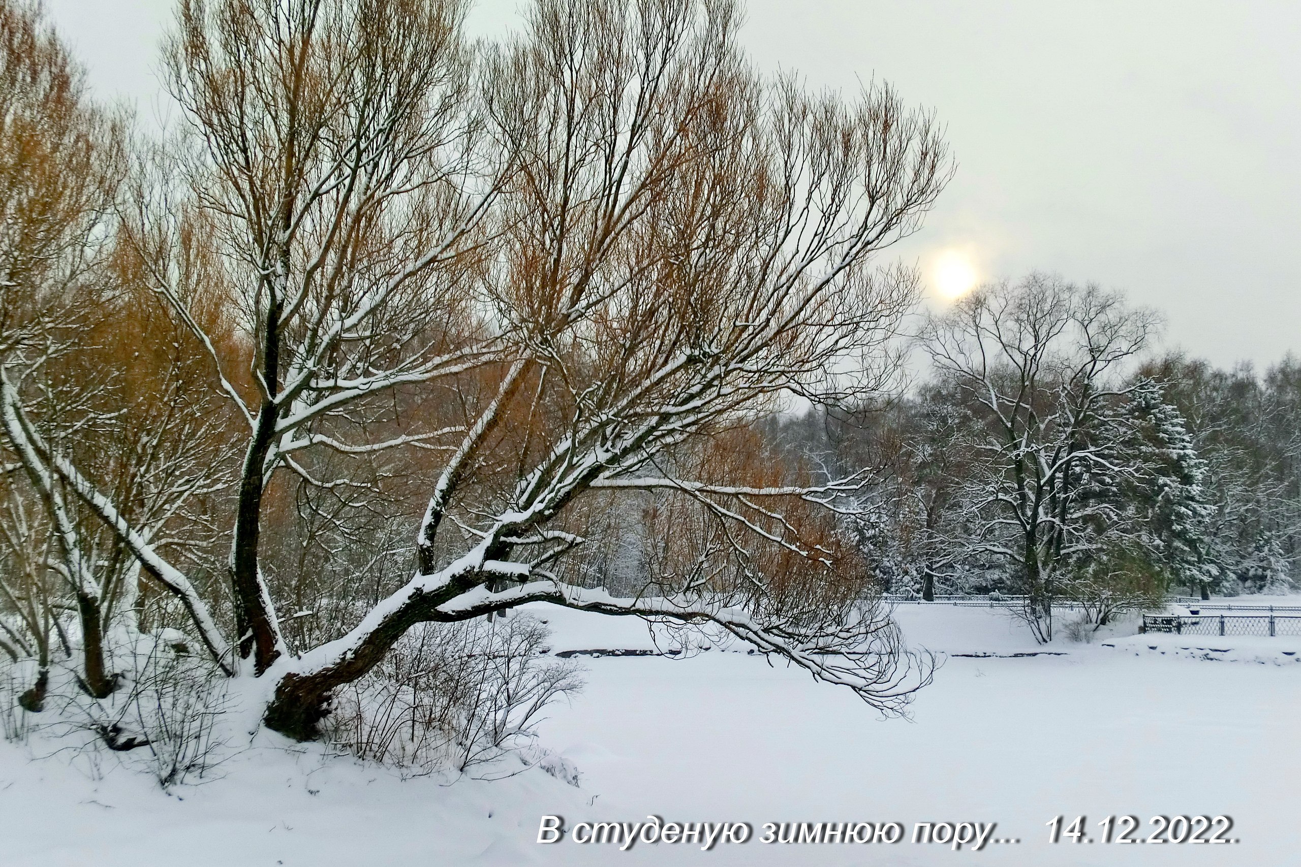 . - 15  2022  14:21