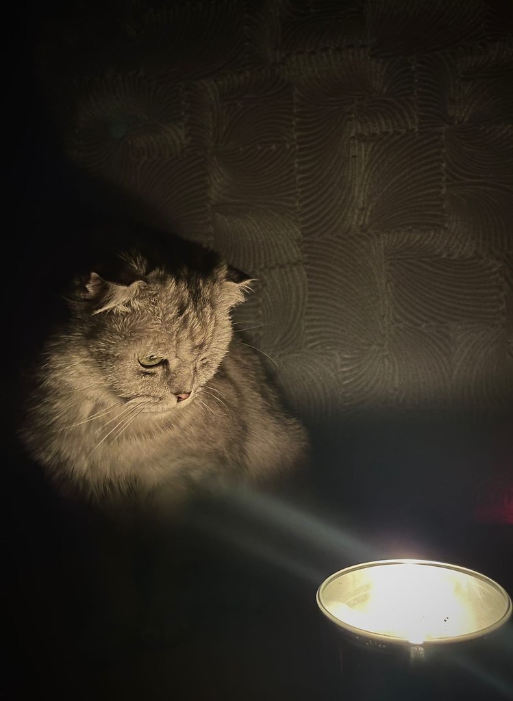 � �����.� ������� ���� - 3