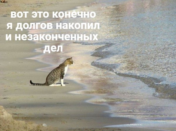    - 6  2022  17:12