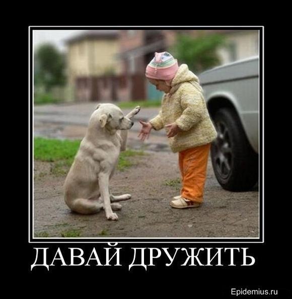 ��� ������������ � ����������� ���������� 2 ���� �����