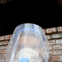 ����, �����, 43 ����