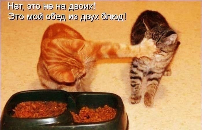    - 6  2022  13:42