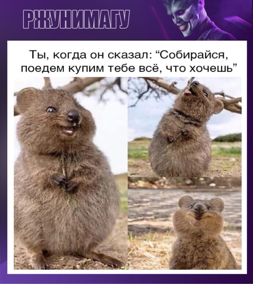 ***Victoria Viktorovna*** - 8  2022  21:03