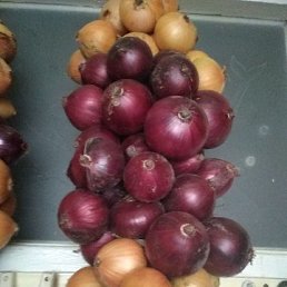 ���� ������, ��������, 53 ���� - ��������� 22 ������� 2022