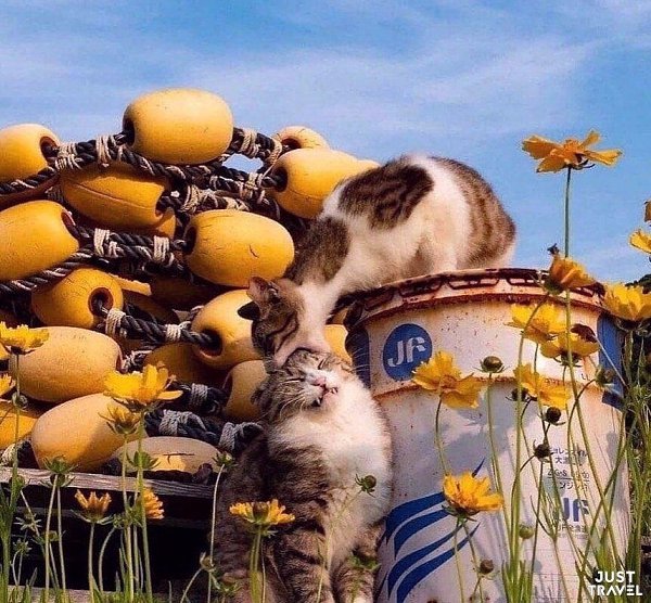 o��op�a �p��o����� �ap���o�. #art #travel #world - 5