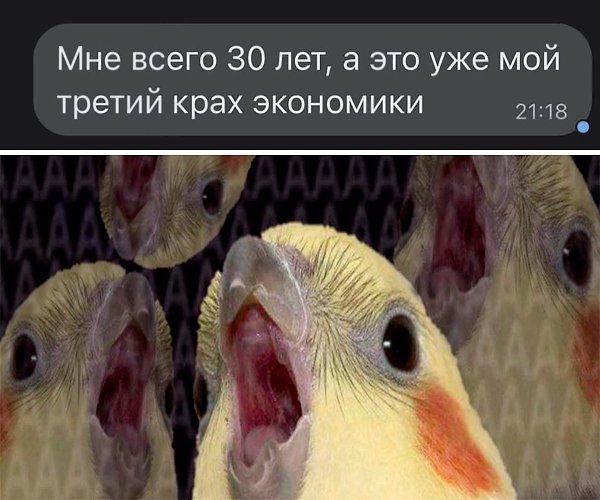 �� ���������� ���� ר! - 4 ����� 2022 � 20:53