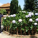 ���� ���������, �����, 60 ��� - ��������� 6 ������� 2022