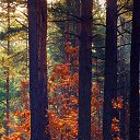 ���� ����, �������, 44 ���� - ��������� 14 ����� 2022