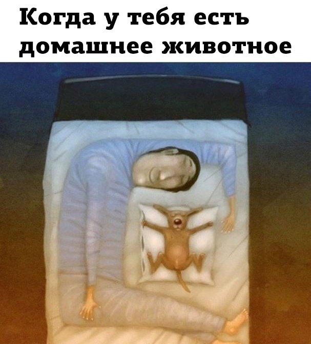   - 16  2022  18:09