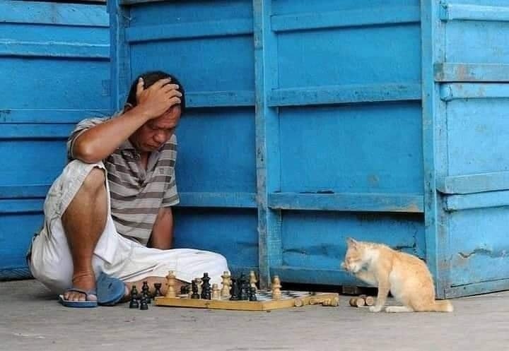  )))