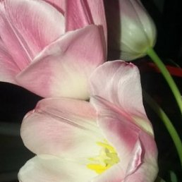 ���� �������, ����������, 65 ��� - ��������� 30 �������� 2022