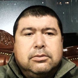 ���, �������, 46 ���