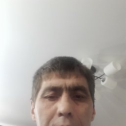 , 51 , 