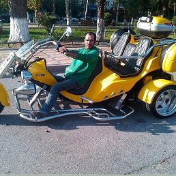 �����, �������, 37 ���