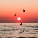 ���� ������, ��������, 69 ��� - ��������� 3 ������� 2023 � ������ ���� ����������